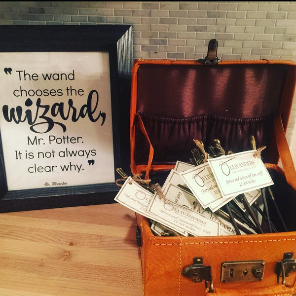 Olivander's Wand Case